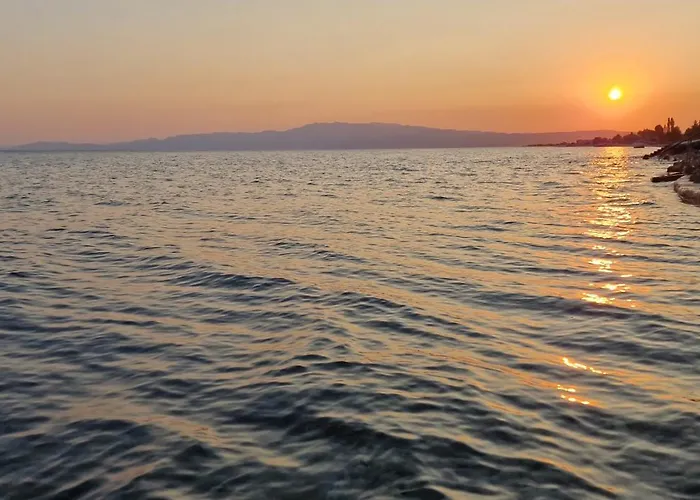 αεί κάριανη 1
